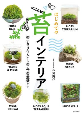 Your First Moss Interior Moss Terrariums To Moss Balls and Moss (from Bonsai)