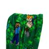 Minecraft Levels Fleece Blanket