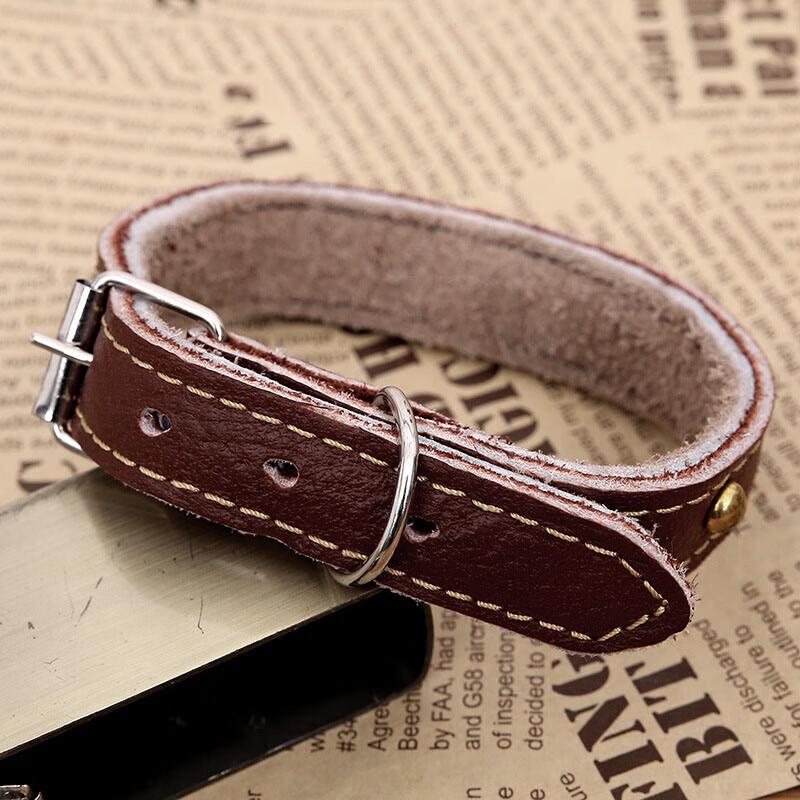 Thickened Nylon Dog Training Collar