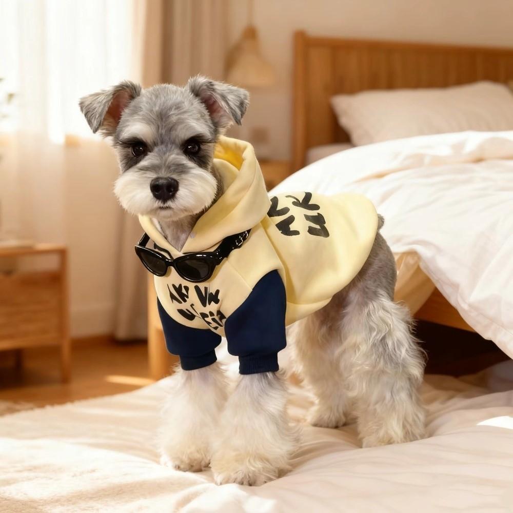 Letter Pattern Warm Dog Hoodie Cozy Soft Two-Legged Dog Clothing Comfortable Thicken Dog Hooded Sweatshirt Outdoor Walking
