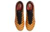 Nike Mercurial Vapor 15 Elite Fg X Air Max Plus Sunset FJ2704-001