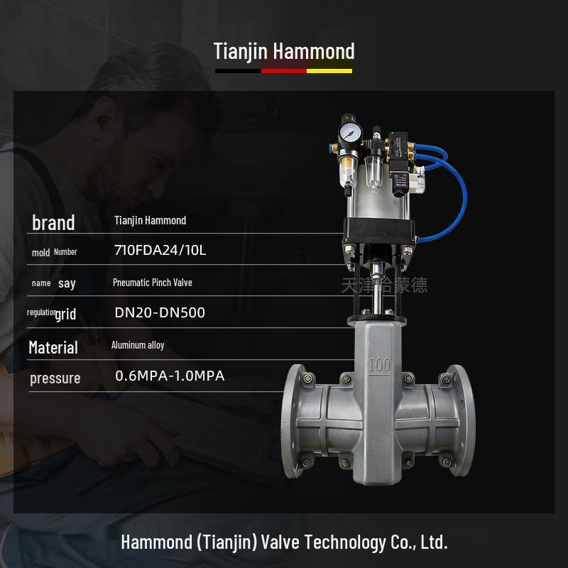Hammond GJ641X-10L Flanged Pneumatic Pinch Valve, Double/Single Acting, Open/Closed