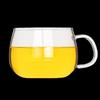 Shangqi Round Borosilicate Glass Coffee & Tea Mug with Handle