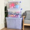 Clear Plastic Storage Box