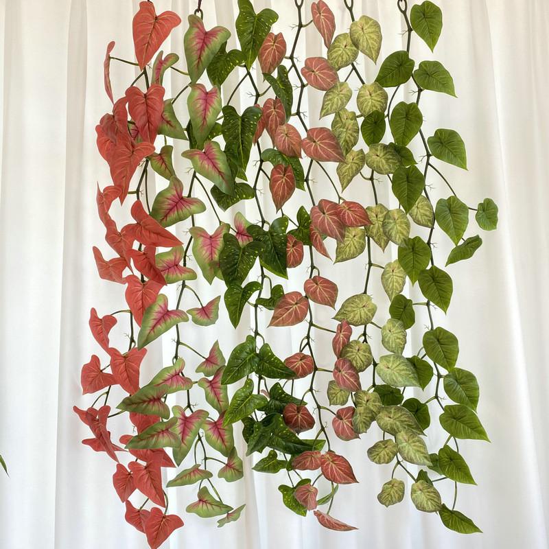 Faux Epipremnum Aureum Cane For Kindergarten Wedding And Photography Settings