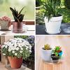 5PCS Durable Plastic Plant Saucer 6/8/10 Inch Round Drip Plant Trays Flower Pot Tray Indoor Outdoor Home Garden Supplies