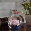 Ship Wishing Bottle Glass Sailing Boat In Wishing Bottle Drift Bottle Decor Desktop Ornament for Home Office 9x11cm