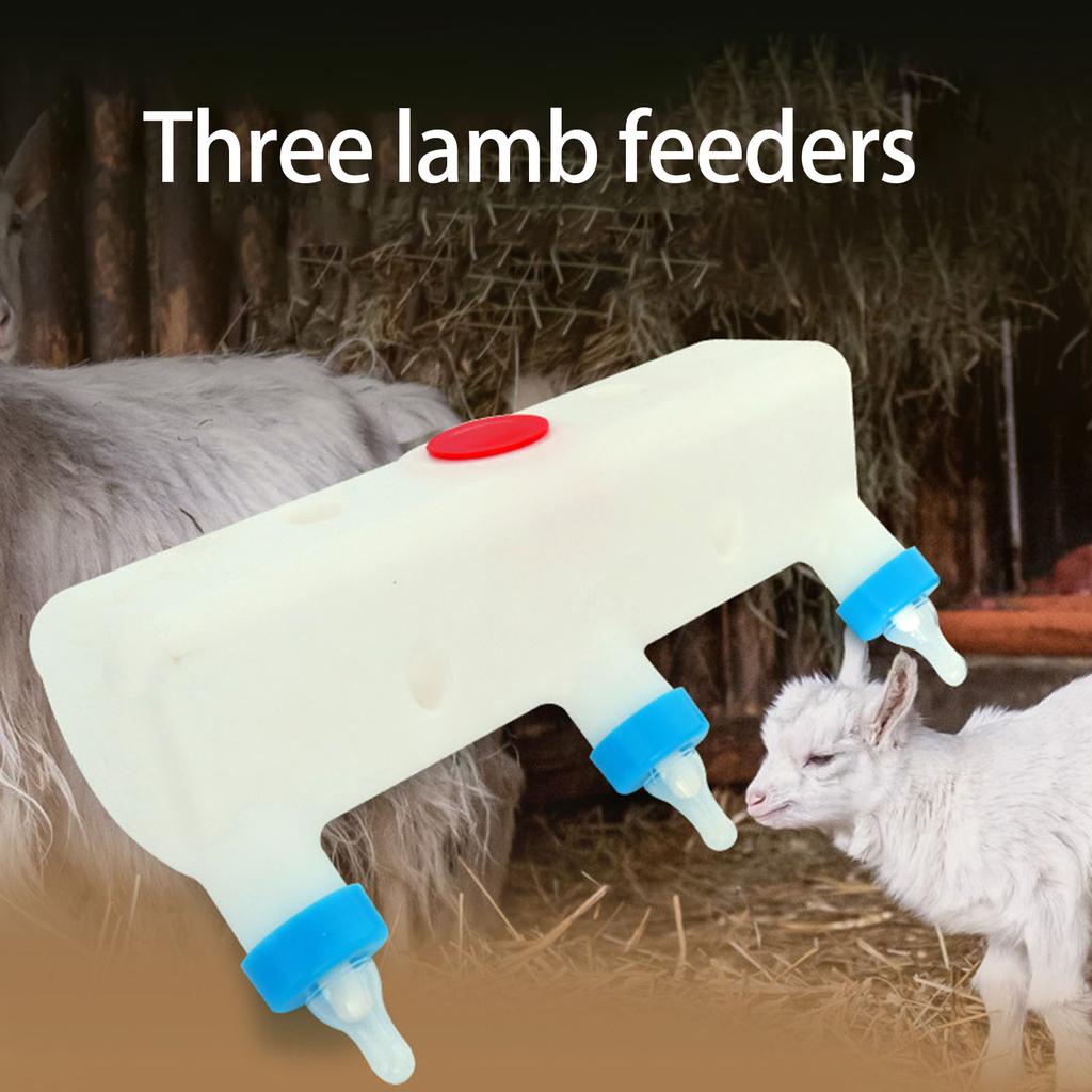 3 Nipple Hanging Feeder Bottle For Lamb Calves Piglets Durable Multiple Animal Nursing Tool Farm Drinking Equipment