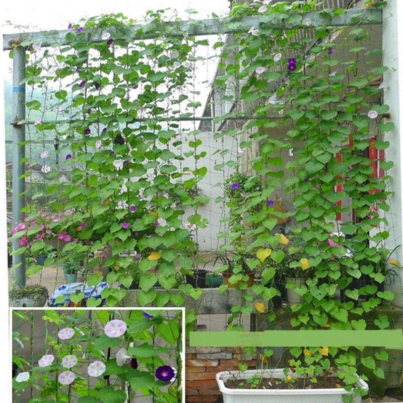 27-Strand Climbing Net for Plants: Ideal for Melons, Fruits, Morning Glories, and Climbing Flowers. Includes Supporting Rope.