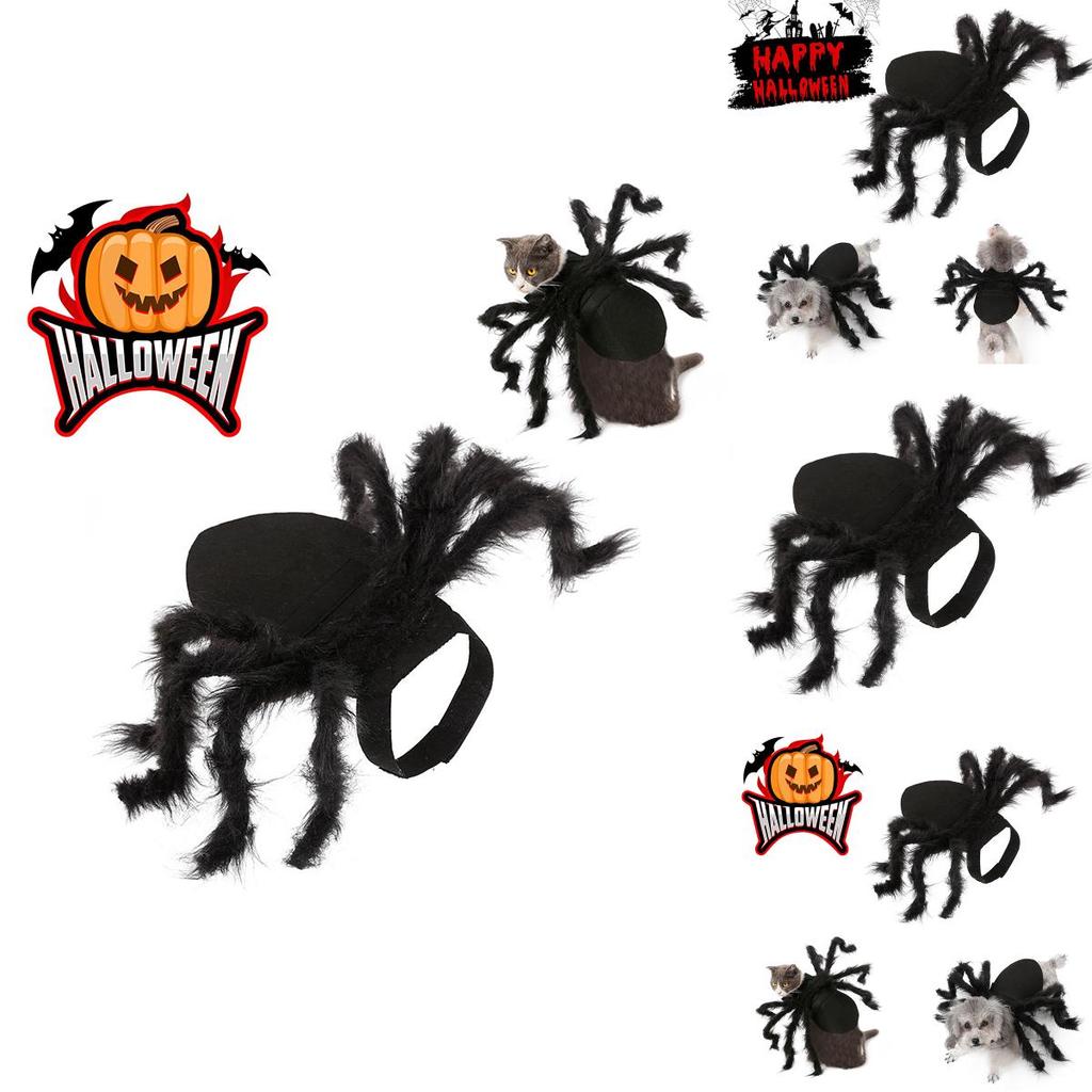 Cute And Funny Pet Spider Costume For Halloween