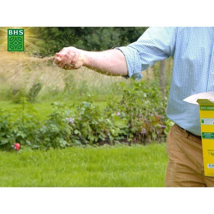 Grass Seed - BHS - Sun Lawn 10kg | Resistant To Mediterranean Climate and Drought