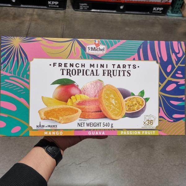 ST MICHEL French Mini Tarts Tropical Fruit 540g One thing