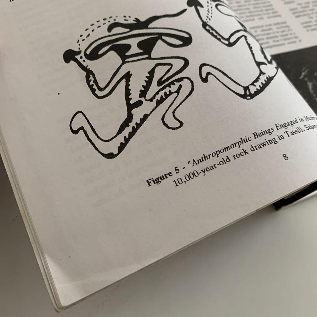 [USED] MAGIC MUSHROOMS Around the World