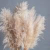 1/2/3/4/5Pcs Artificial Pampas Grass Bohemia Realistic Fluffy Fake Dried Grass Home Office Wedding Party Table Centerpiece Boho Decor
