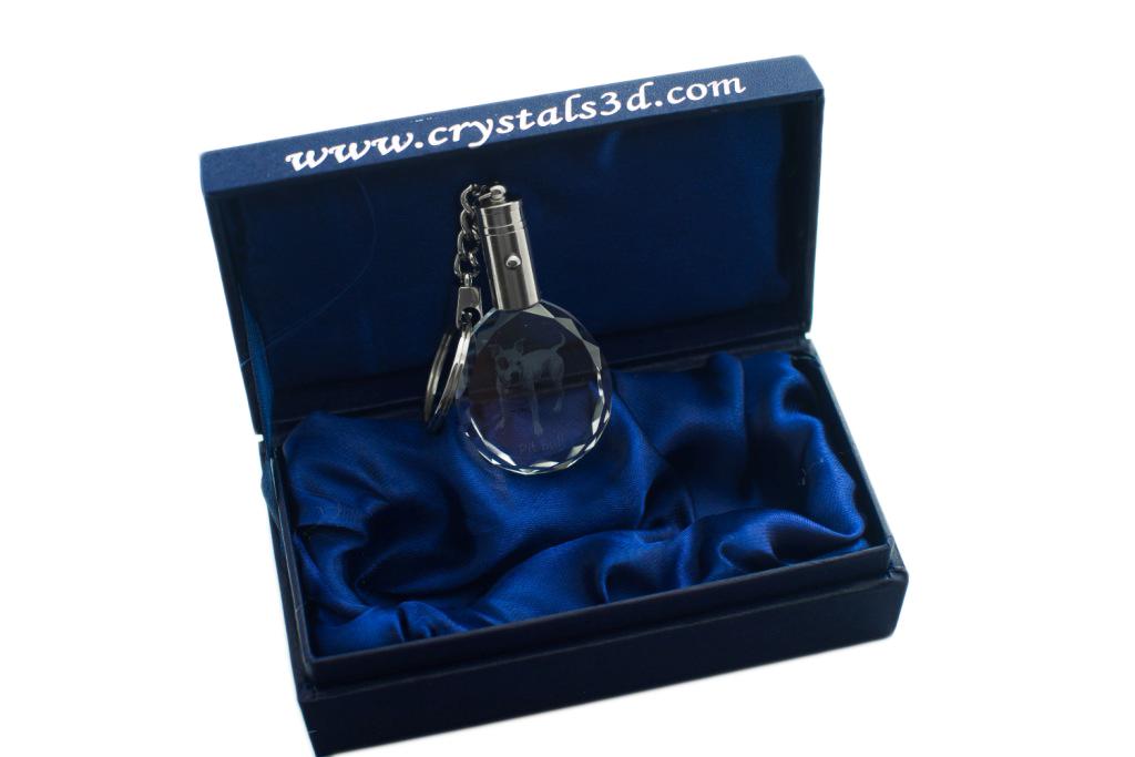 Pit Bull, American Pit Bull Terrier, Pitbull Terrier, APBT - Pendant with a Photo of a Dog, Crystal Key Ring In a Gift Box, a Unique Gift by Art-Dog