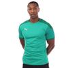 Puma Men's Training Final Jersey