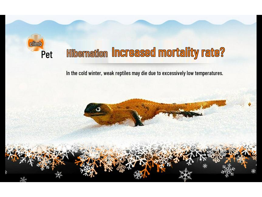 Reptile Mini Ceramic Heat Lamp for Tortoise, Lizard, Gecko, and Chick Brooder