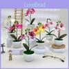 Butterfly Orchid Artificial Potted Plant For Wedding Decor And Photography Props