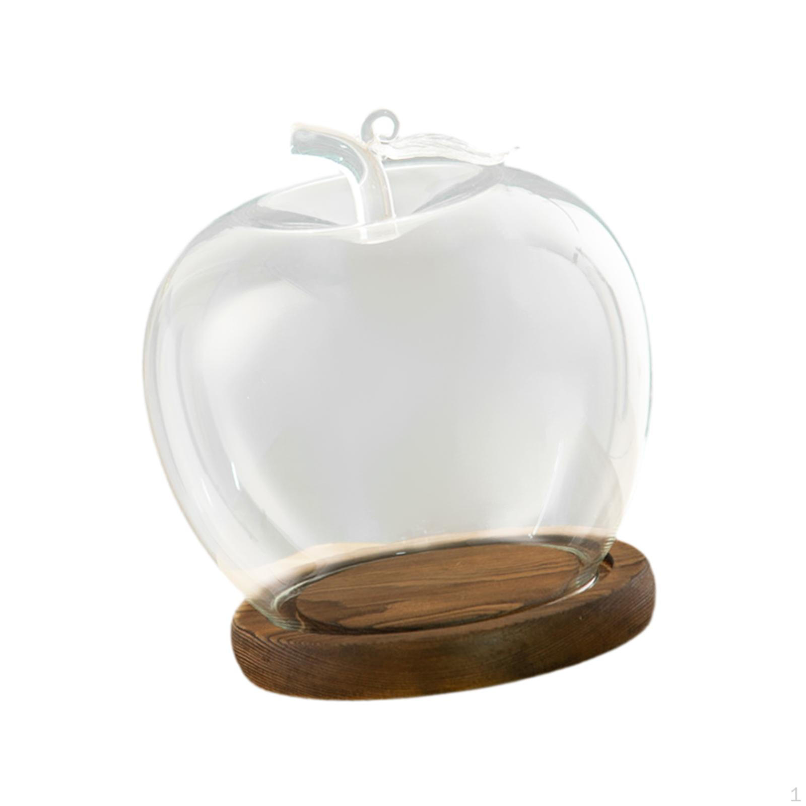 

Прозрачная стеклянная купольная банка диаметром 3,5 дюйма, дисплей для DIY-поделок, деревянная основа для украшения, фигурки, домашний декор кофейный