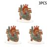 2D Heart Anatomy Acrylic Model - Educational And Decorative Teaching Tool For Home Office Classroom Clinic Medical Office