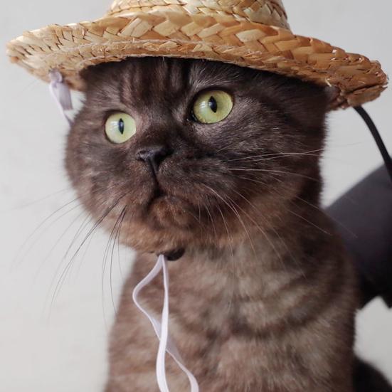 Cappello per Animali Traspirante di Paglia Estivo Animale Domestico Creativo Fatto a Mano Cappellino da Sole per Esterno