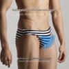 Men's Striped Triangle Swim Trunks - Fashionable Adult Swimsuit S3925