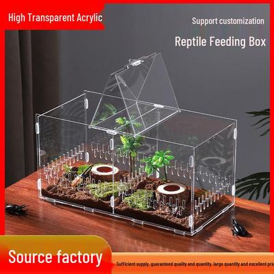 Small Acrylic Reptile Habitat: Transparent Observation Box for Spider, Lizard, Mantis, and Rainforest Landscape