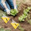 40/1pcs Garden Snails Slugs Traps Snail Controllers Snail Cages Insect Traps Household Garden Disposable Snail Trap Catcher Bags