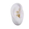 5D Silicone Simulated Artificial Ear Model Ear Stud Piercing Piercing Piercing Teaching Hearing Aid Acupuncture Practice Prop