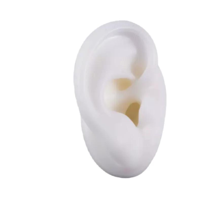 5D Silicone Simulated Artificial Ear Model Ear Stud Piercing Piercing Piercing Teaching Hearing Aid Acupuncture Practice Prop