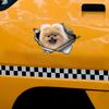 Cute Pom Car Stickers Scratch Blocking Self-Adhesive Waterproof Decal, Used for Car, Laptop, Motorcycle, Van, RV