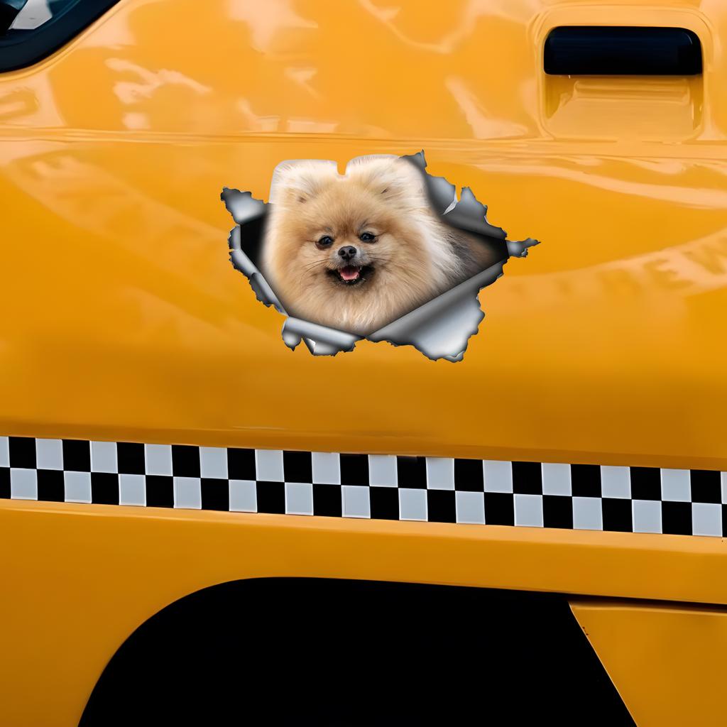 Cute Pom Car Stickers Scratch Blocking Self-Adhesive Waterproof Decal, Used for Car, Laptop, Motorcycle, Van, RV