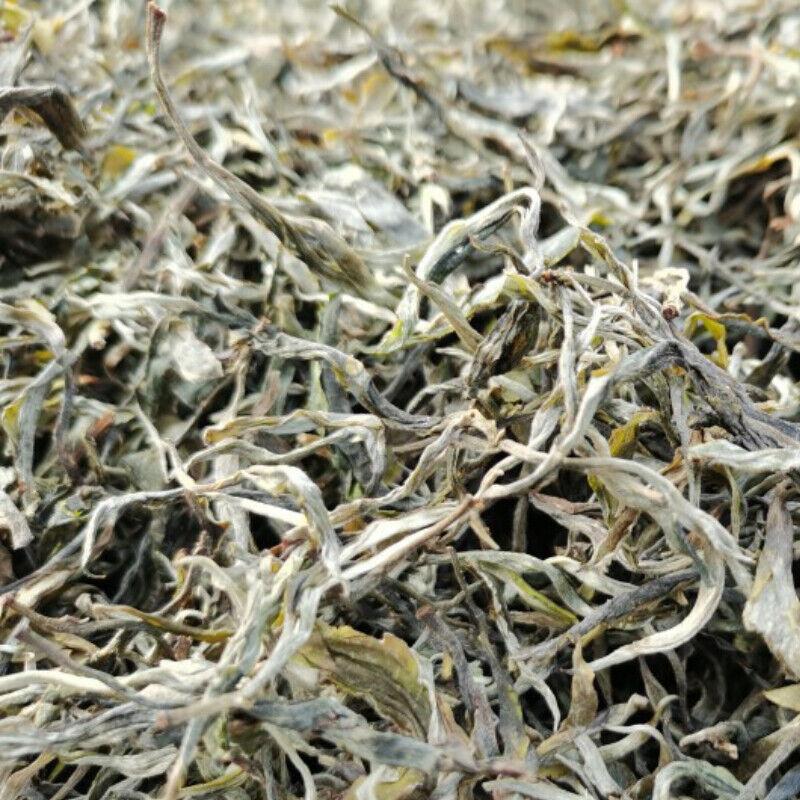 200g Fenghuangwo Ancient Tree Tea Organic Spring Tea Healthy Drink