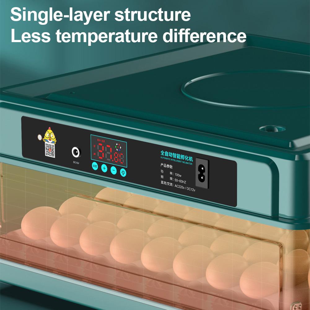 6-12 Eggs Automatic Incubator for Chicken Goose Bird Quail Hatchery Incubation Tools EU/US/UK Plug Incubation Equipment