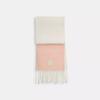 Colorblock Muffler With Rubber Patch
