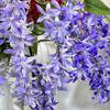Wedding Silk Wisteria Decoration Flowers For Venue Ambiance And Shoots Photo