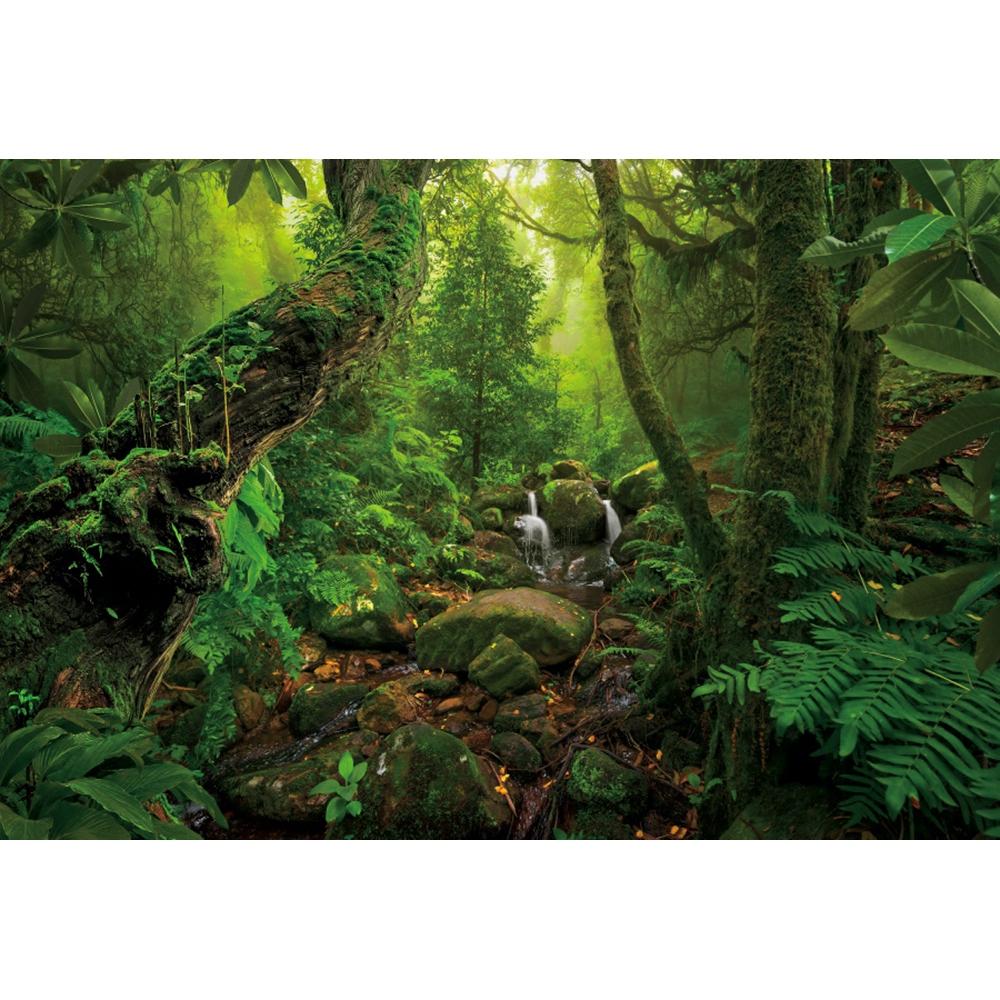 Spring Forest Backdrop Tropical Jungle Rainforest Backdrops for Photography Camping Adventure Birthday Background Photo Studio