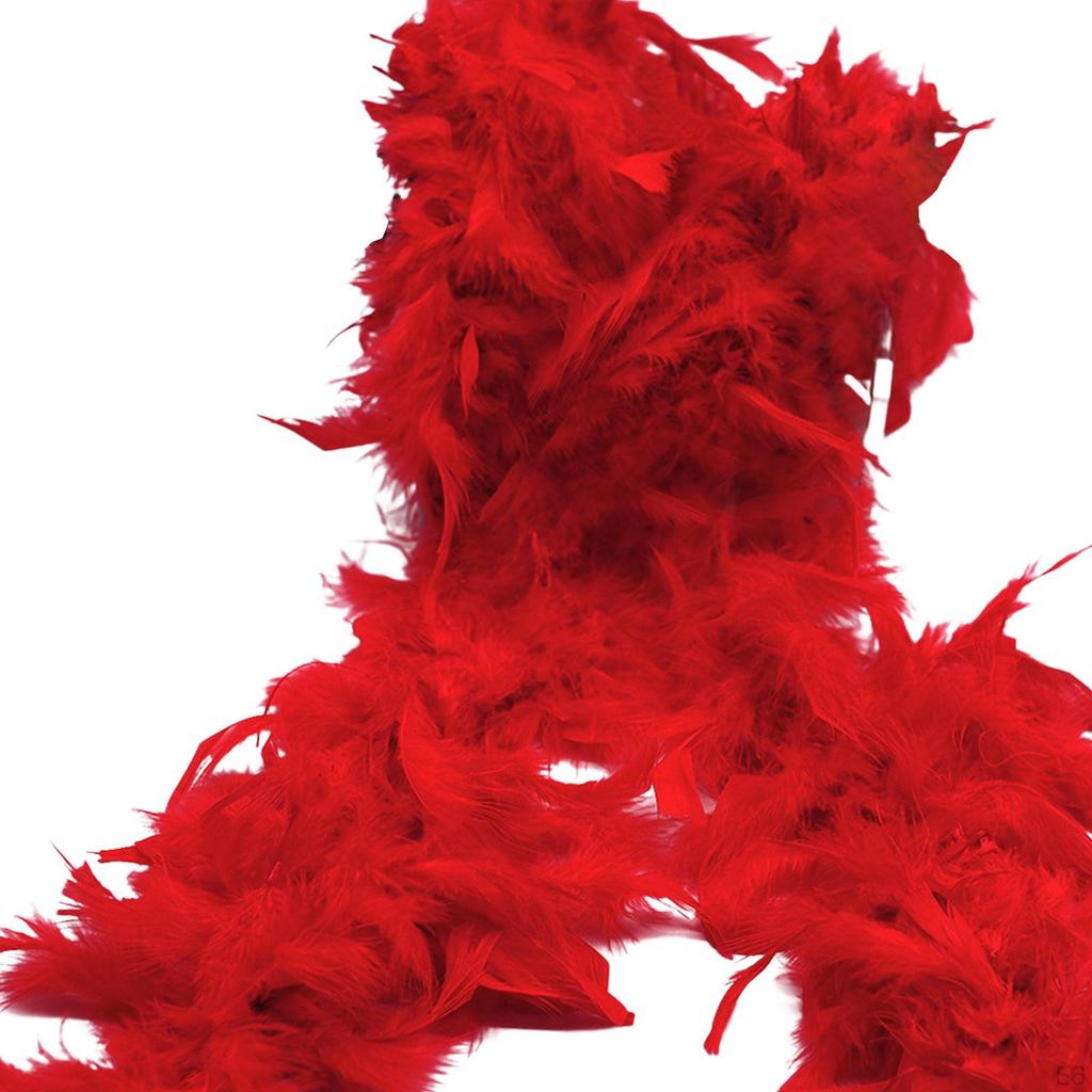 Scarf, Feather Boa, Dress, Wedding, Decoration, 2 M, , Costume Accessories, Party,