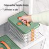 Thick Plastic Dumpling Storage Box for Freezer and Home Use – Food Grade and Fresh Keeping