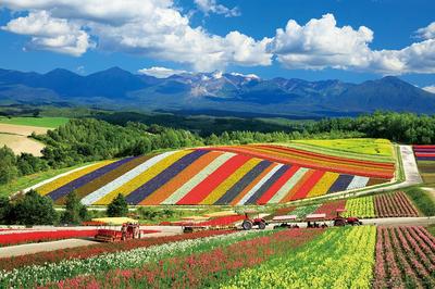 Yanoman [Made In Japan] 1000-Piece Jigsaw Puzzle: Japanese Landscape: Four Seasons Hills and the Tokachi Mountain Range (Hokkaido) (50x75cm) 10-1422.