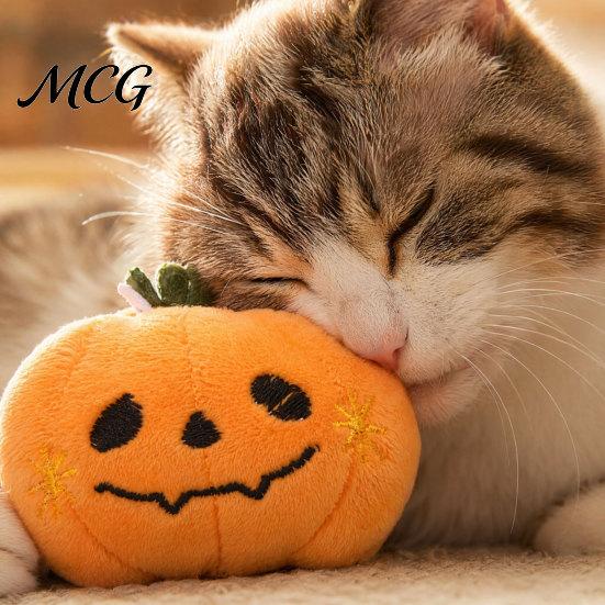 Non-toxic Cat Chew Toy Halloween Theme Toy, Soft Ghost Bat Pumpkin Plush Cute Boredom Relief Stuffed for Indoor Cats