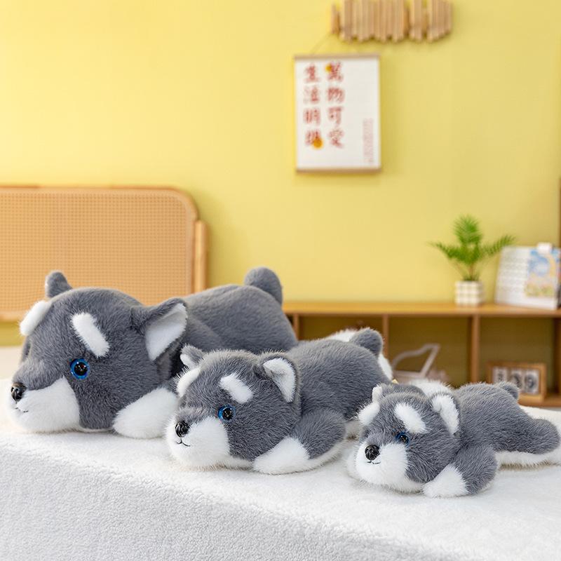 Cute Schnauzer Doll Plush Toy Girl Sleeps with Doll Warm Heart To Accompany Girlfriend Birthday Gift