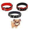 Pet Collar Made Of Pp Polypropylene Breathable And Comfortable Suitable For All Seasons