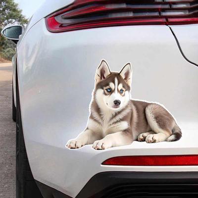 Accesorios de exterior – Pegatinas para automóviles