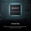 Sony Alpha 7R V Full-Frame Mirrorless Camera (CN version)