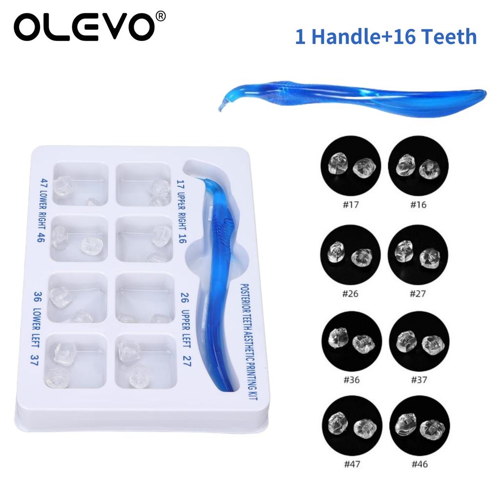 Dental Posterior Teeth Aesthetic Printing Mould Kit Professional Clinic Use for Light Cure Composite Restoration Filling Tools 3