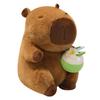 Capybara Sanya Plush Toy and Coconut Tree Hugging Pillow Doll