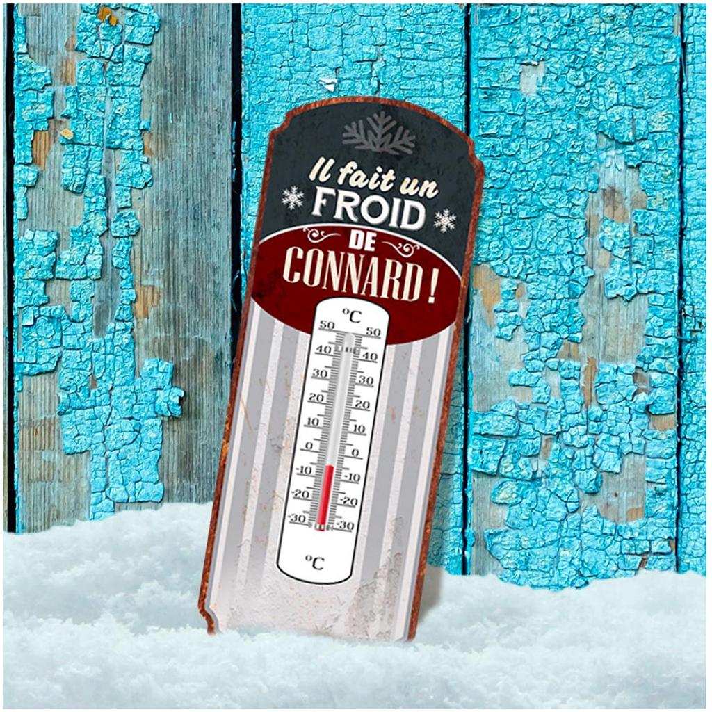 Les Trésors De Lily [A2929] - Humorous Metal Thermometer 'It's Freezing Asshole! ' Burgundy Gray - 25x10 Cm