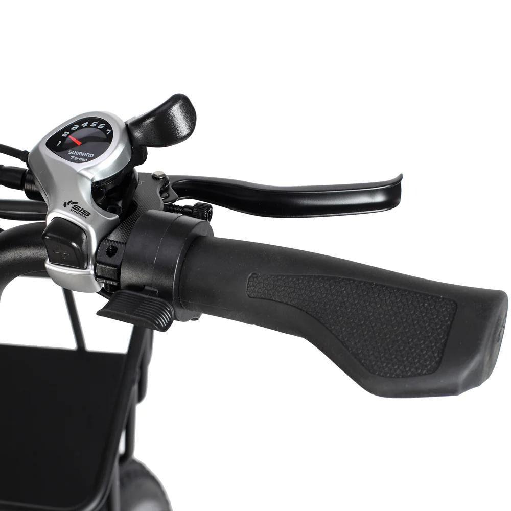 Bicicletta Elettrica Philodo T1 Ruota da 20" Motore da 750W Bicicletta Elettrica da Pendolarismo Urbano 48V 20Ah Freni a Disco Idraulici 7 Velocità Carico Massimo 150Kg
