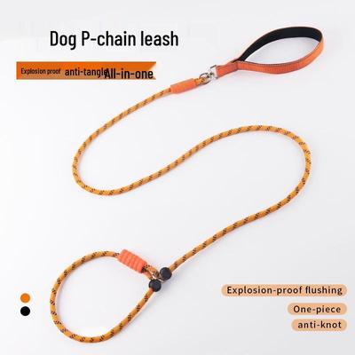 Köpek – Köpek Tasmaları ve Tasma Kayışları